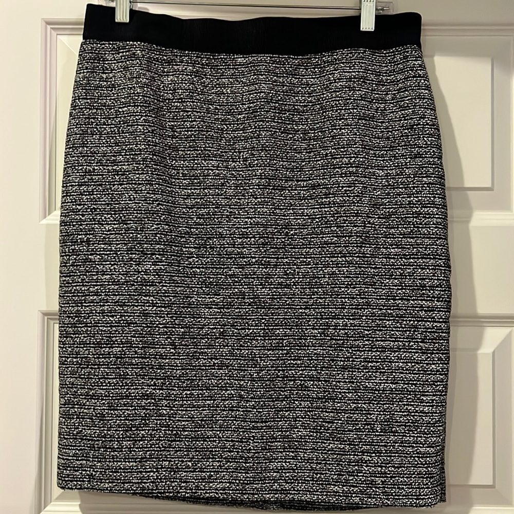 Ann Taylor Pencil Skirt